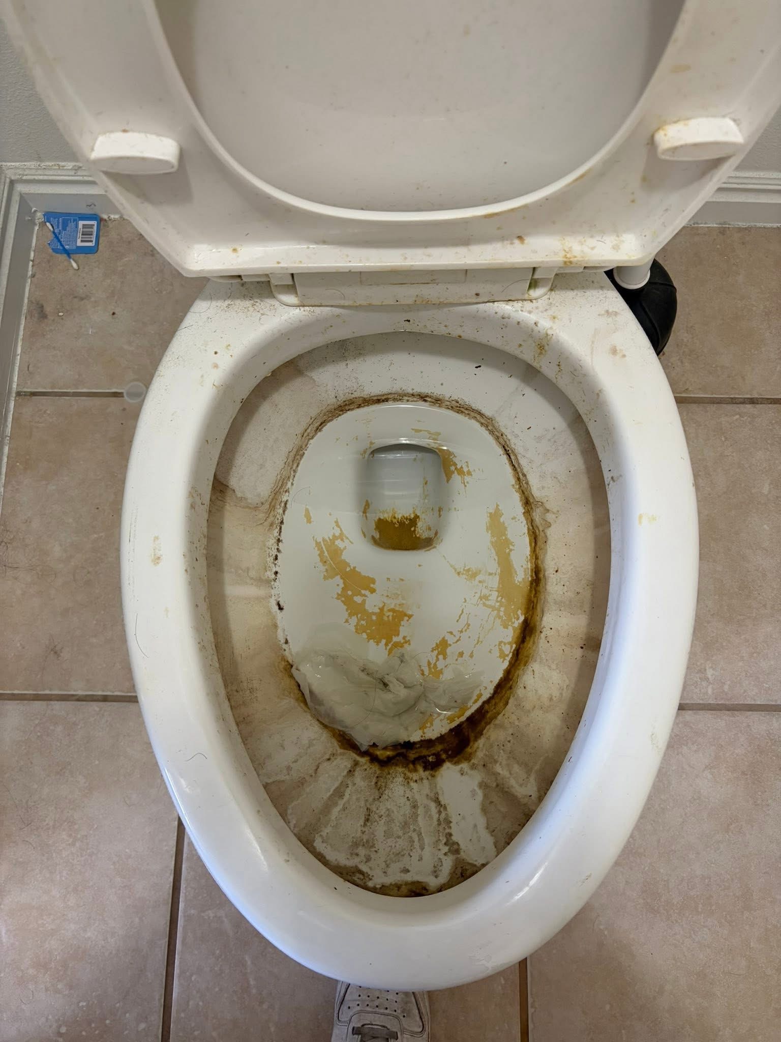 Toilet before cleaning