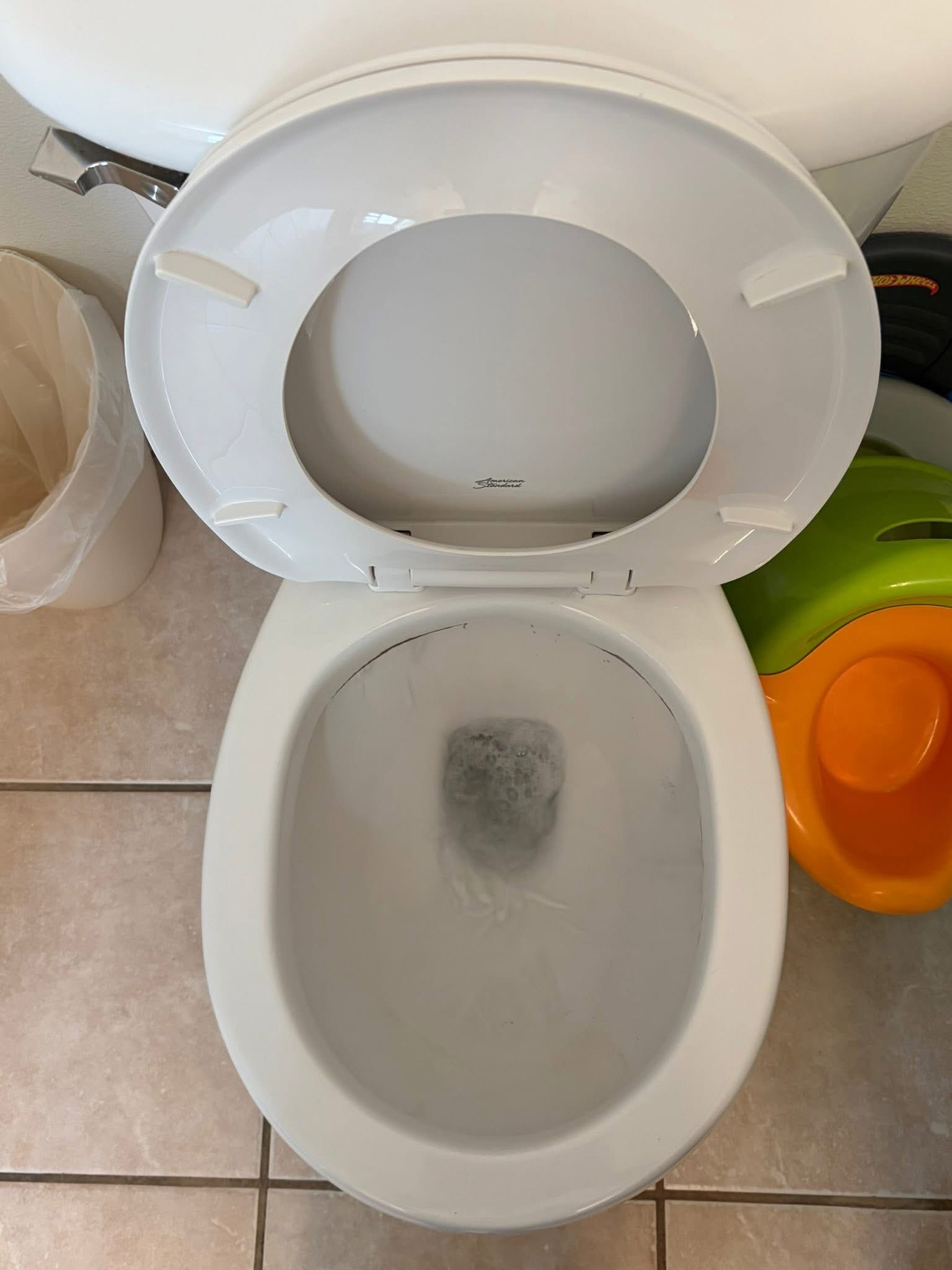Toilet after professional cleaning