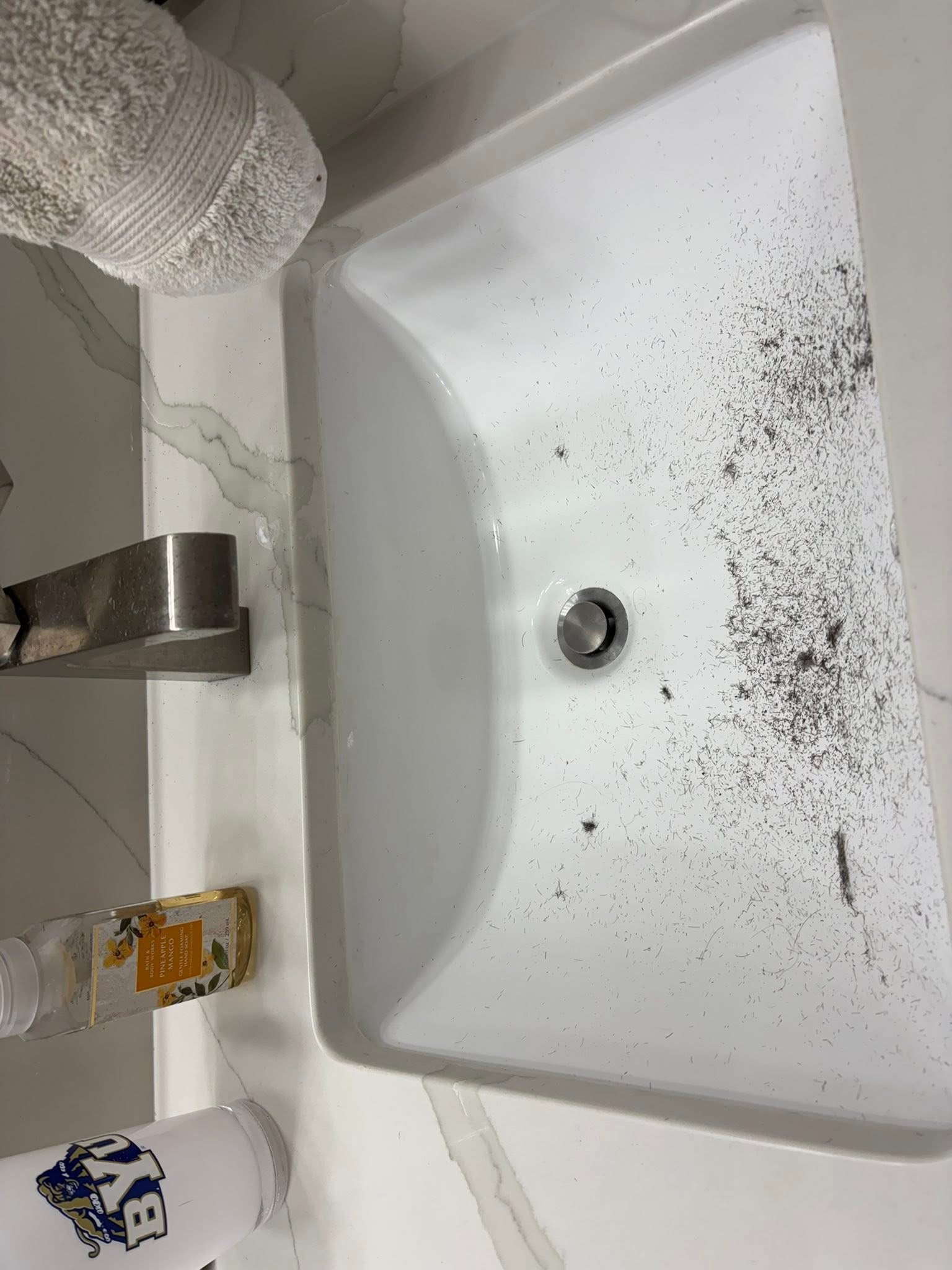 Sink before cleaning